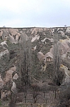 DSC_0271.jpg