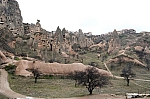 DSC_0320.jpg