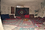 DSC_0335.jpg