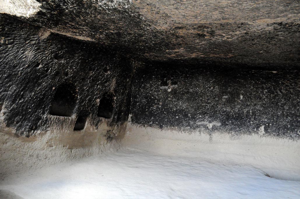 DSC_0390.jpg