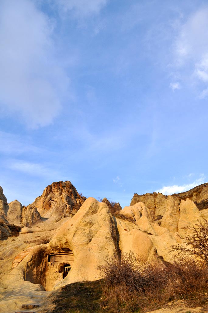DSC_0437.jpg
