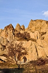 DSC_0440.jpg