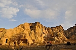 DSC_0443.jpg
