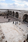 DSC_0461.jpg