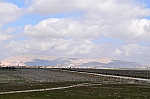 DSC_0465.jpg