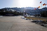 DSC_0501.jpg