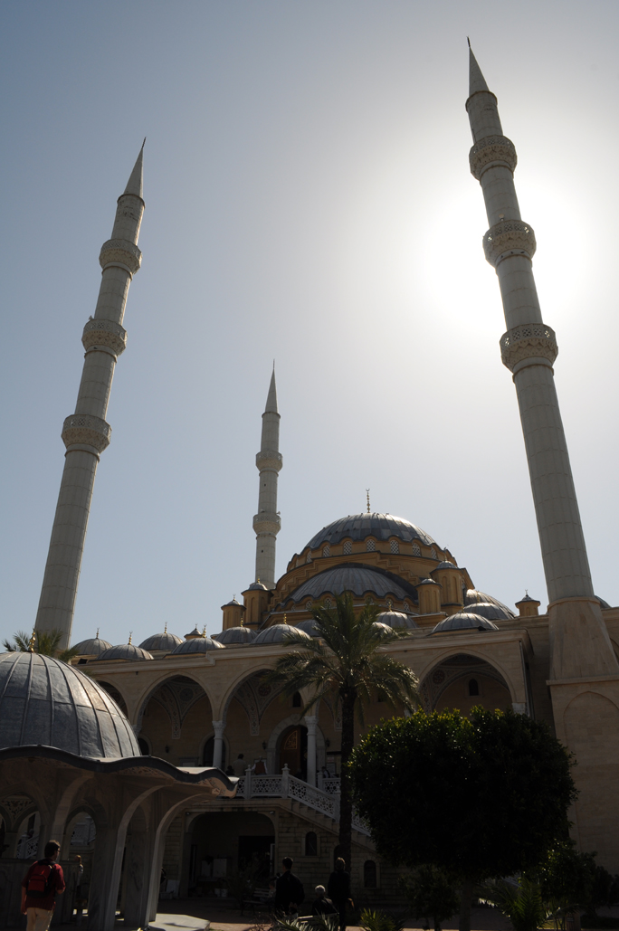 DSC_0561.jpg