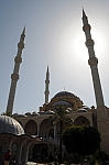 DSC_0561.jpg