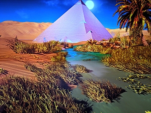 PXL_20240207_093418823.jpg