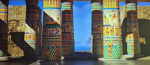PXL_20240207_093548858.jpg