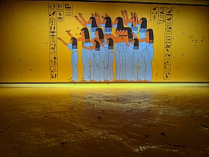 PXL_20240207_094800825.jpg
