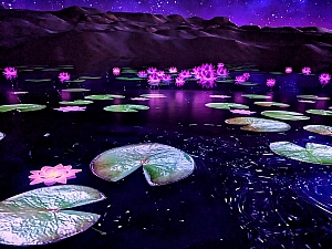 PXL_20240207_095215798.jpg