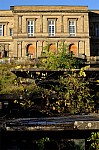 DSC_7533.jpg