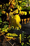 DSC_7554.jpg