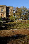 DSC_7555.jpg