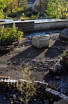 DSC_7557.jpg