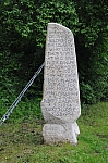 DSC_0094.jpg