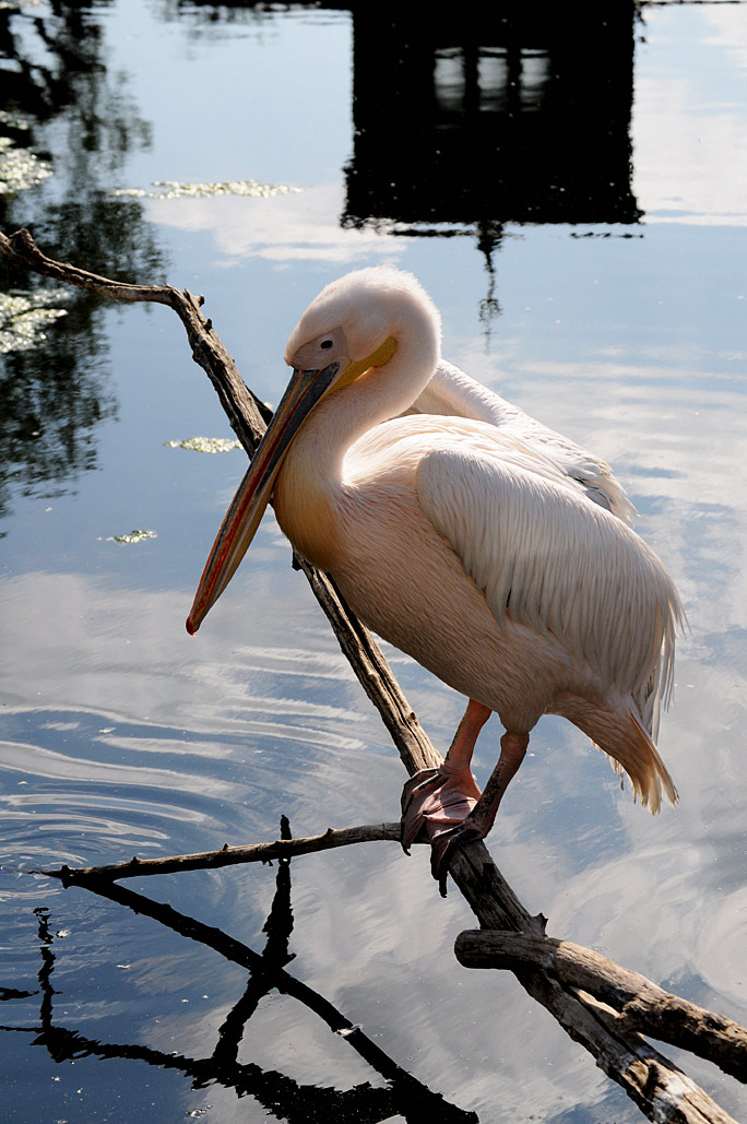 DSC_6939.jpg