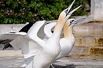 DSC_6943.jpg