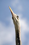 DSC_6953.jpg