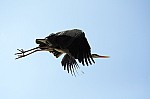 DSC_6975.jpg