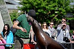 DSC_7008.jpg