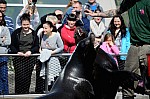 DSC_7018.jpg
