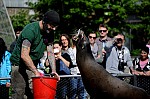DSC_7035.jpg