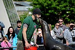 DSC_7042.jpg