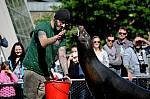 DSC_7046.jpg