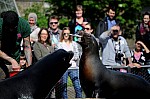 DSC_7059.jpg