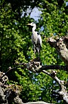 DSC_7075.jpg