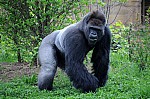 DSC_7094.jpg