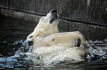 DSC_7139.jpg