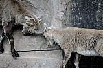 DSC_7165.jpg