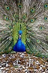 DSC_7169.jpg