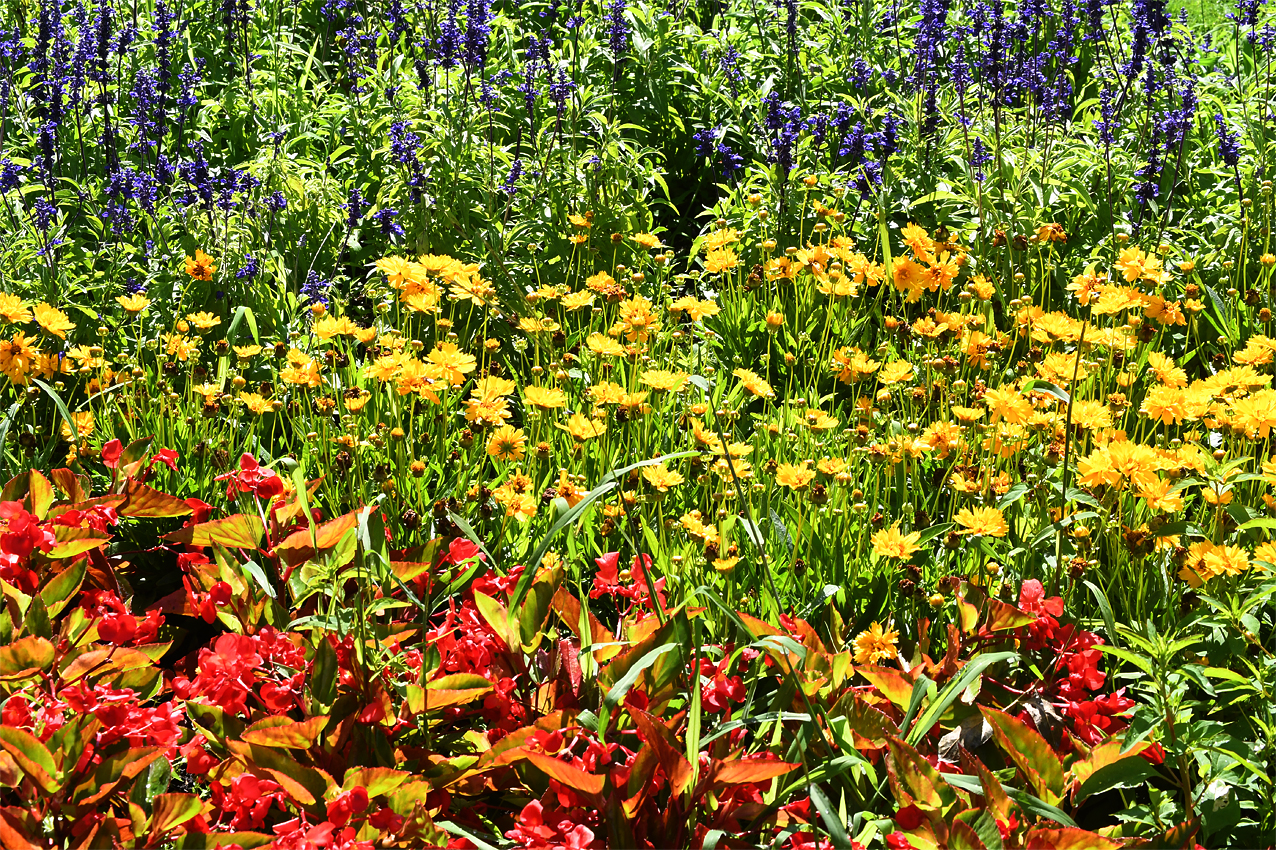 DSC_0057.jpg