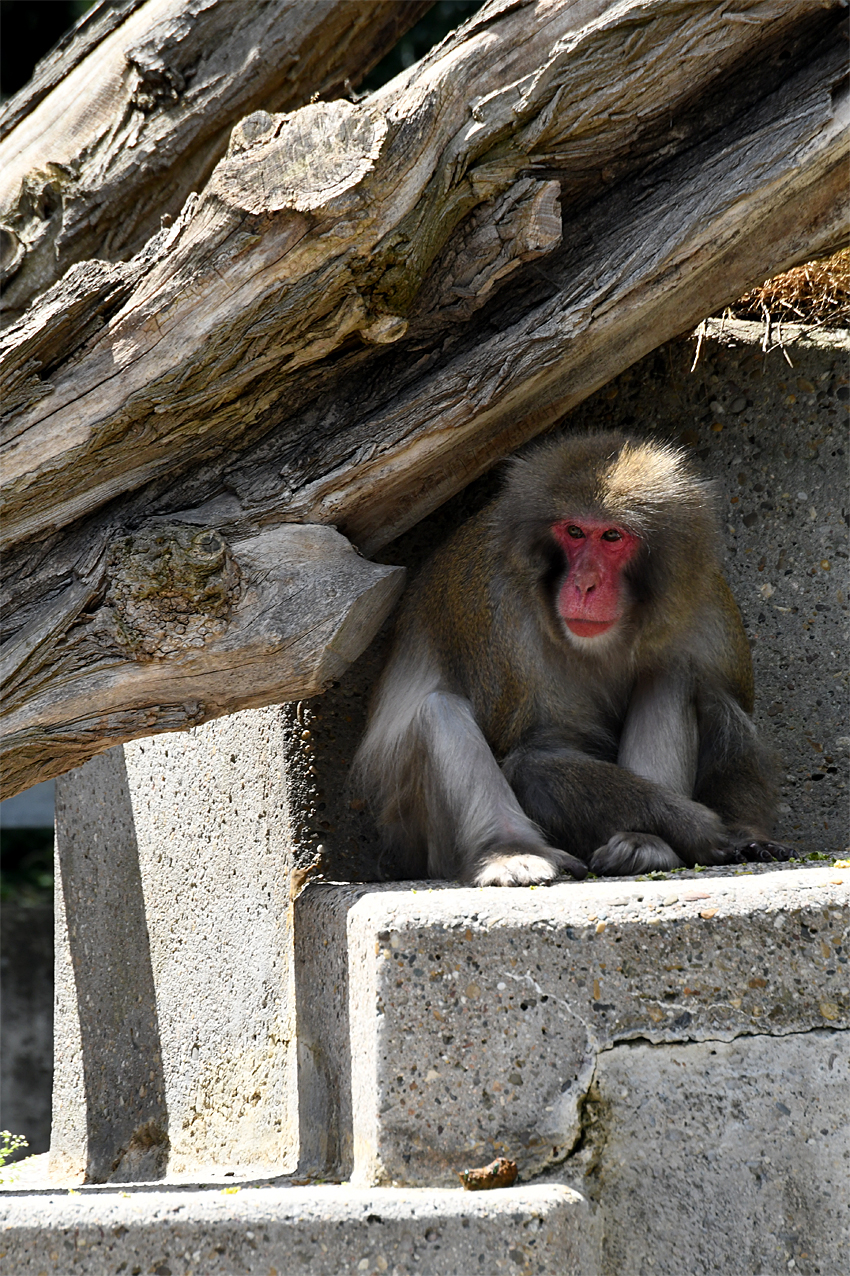 DSC_0099.jpg