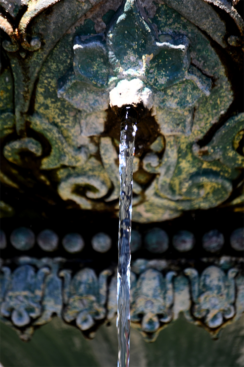 DSC_0147.jpg