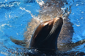DSC_0058.jpg