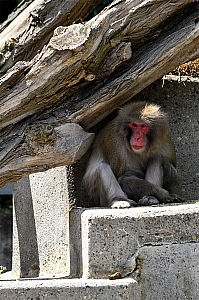 DSC_0099.jpg