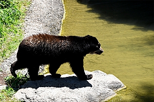 DSC_0126.jpg
