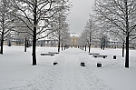 DSC_0707.jpg