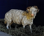 DSC_0501-web.jpg