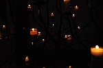 DSC_0557-WEB.jpg