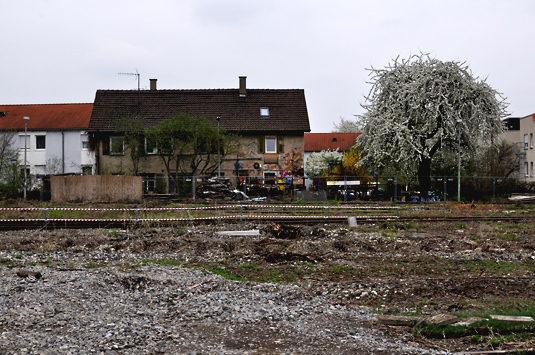 Haus