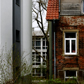Haus