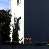 Haus